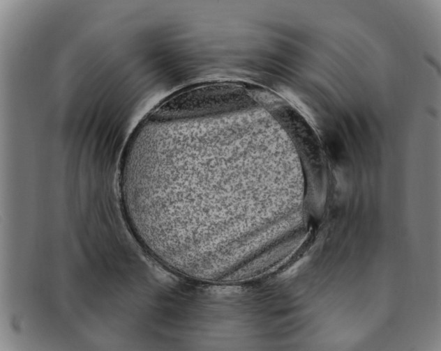 X0000091350893200708311514