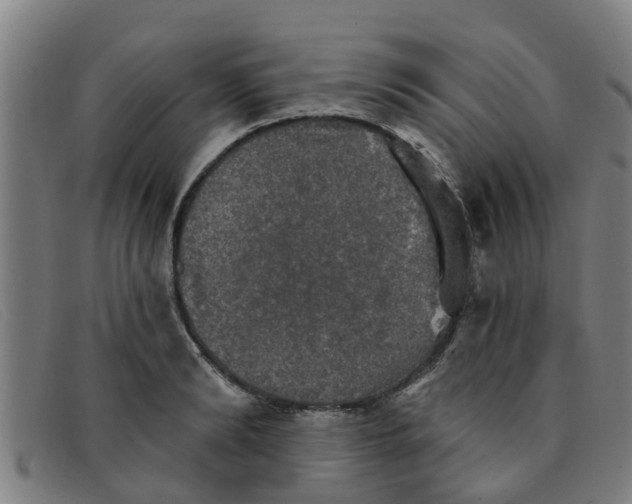 X0000091350894200708311514