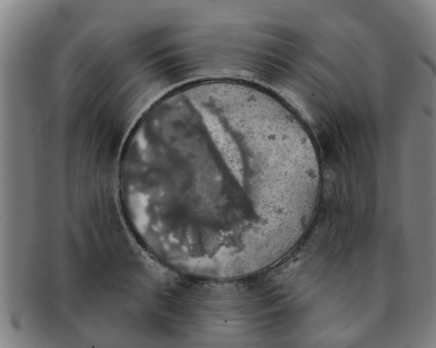 X0000091350895200708311514