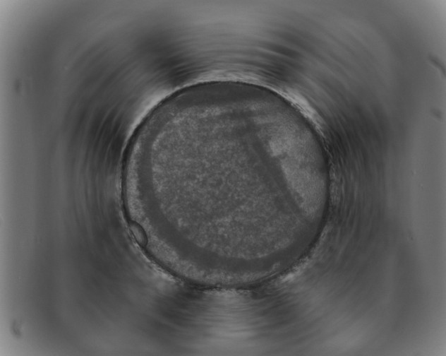 X0000091350896200708311514