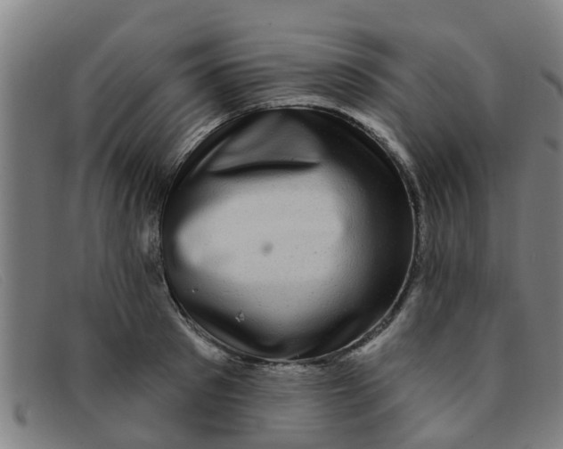 X0000091350897200708311514