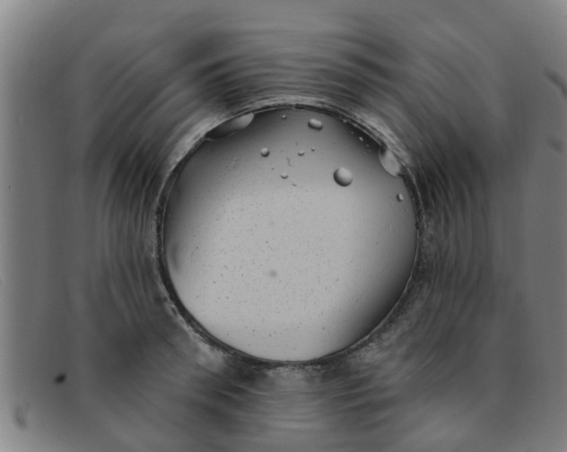 X0000091350898200708311514