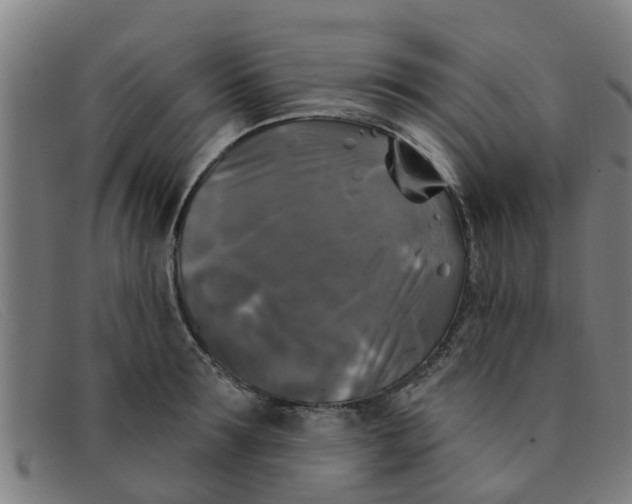 X0000091350899200708311514