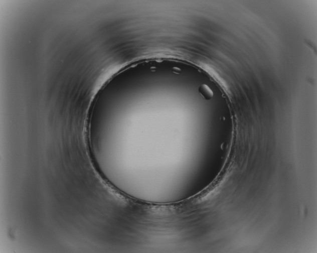 X0000091350901200708311514