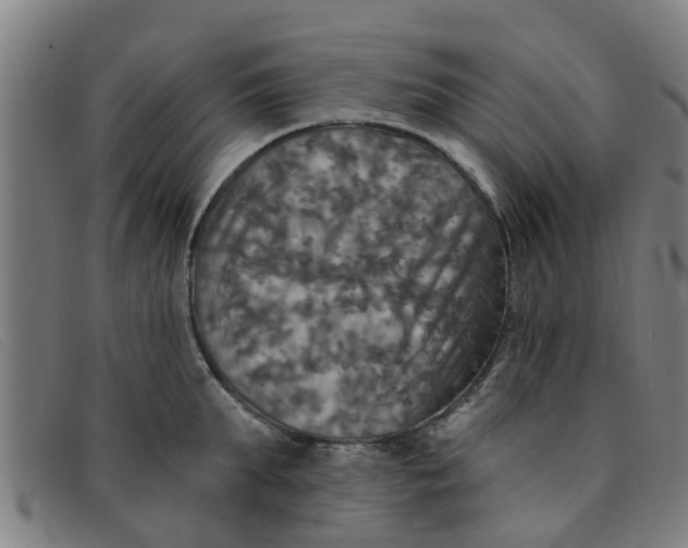 X0000091350903200708311514