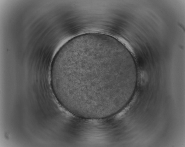 X0000091350904200708311514