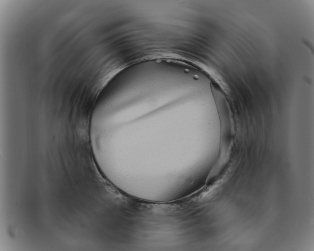 X0000091350905200708311514