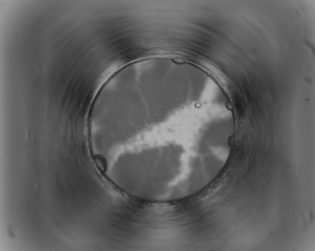 X0000091350907200708311513
