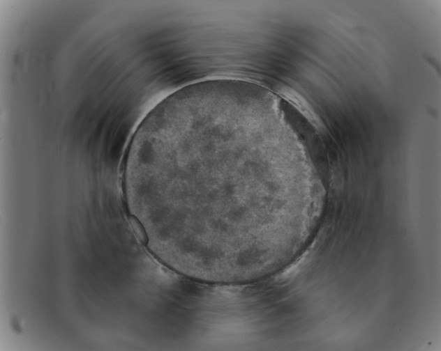 X0000091350908200708311513