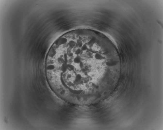 X0000091350911200708311513