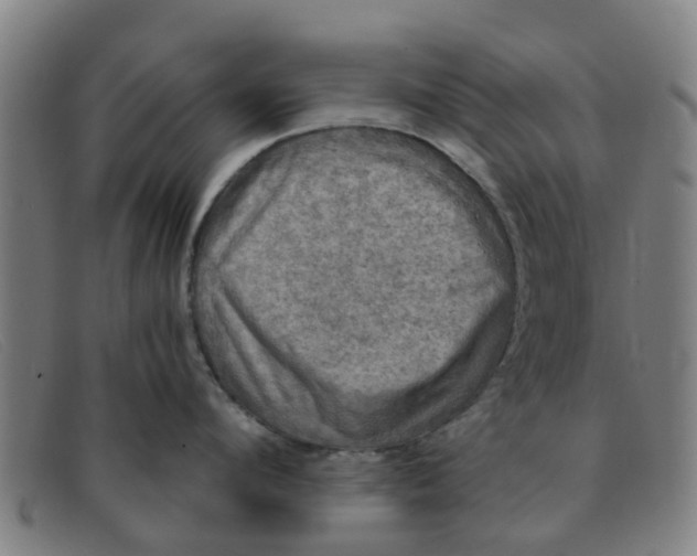 X0000091350912200708311513