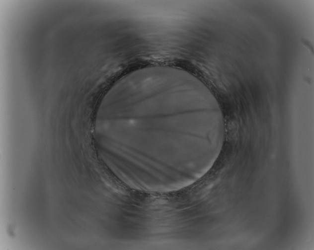 X0000091350913200708311513