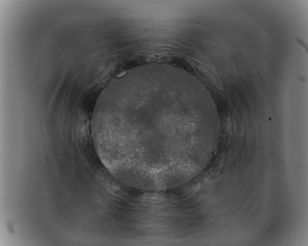 X0000091350914200708311513