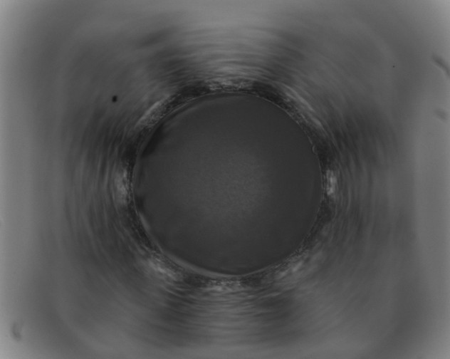 X0000091350915200708311513