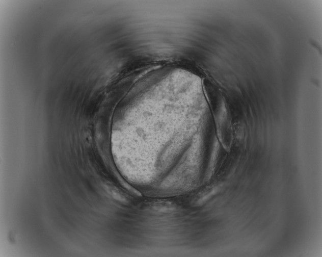 X0000091350916200708311513