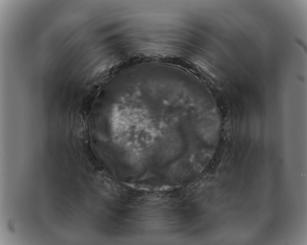 X0000091350917200708311513