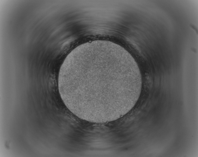 X0000091350918200708311513