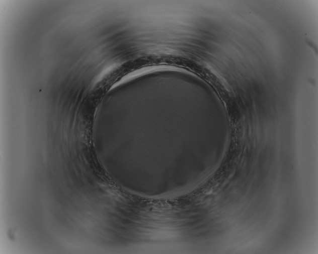 X0000091350919200708311513