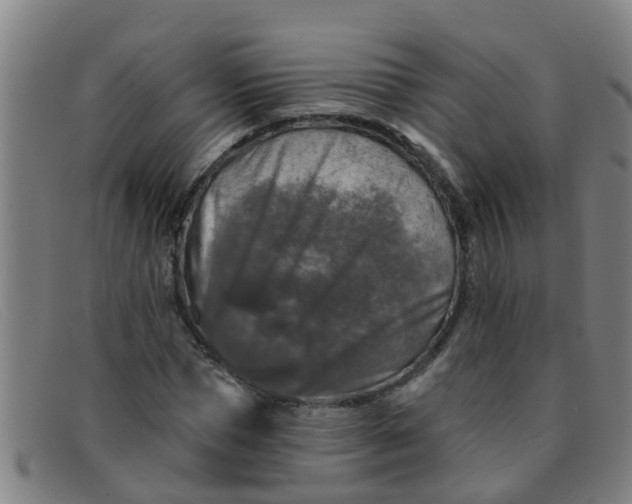 X0000091350921200708311513
