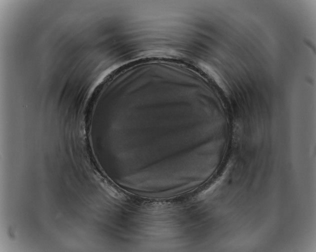 X0000091350923200708311513