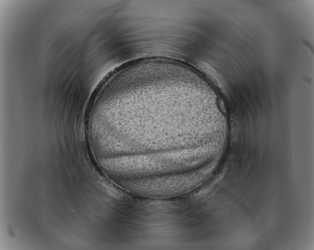 X0000091350924200708311513