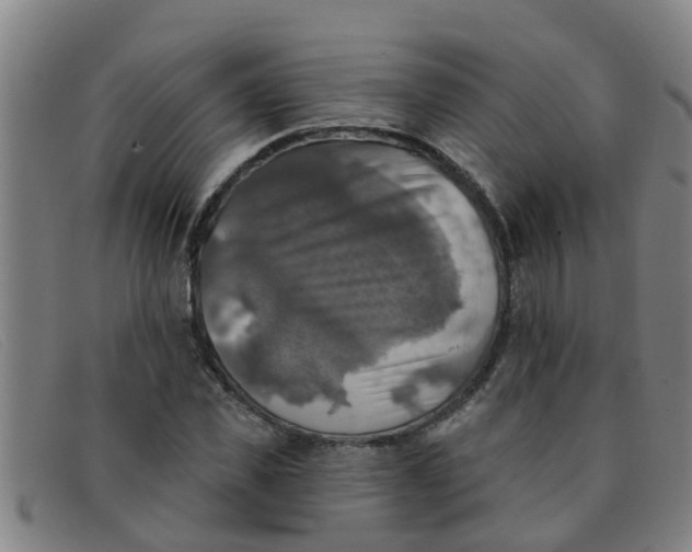 X0000091350925200708311513