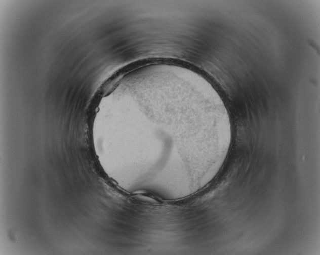 X0000091350926200708311513