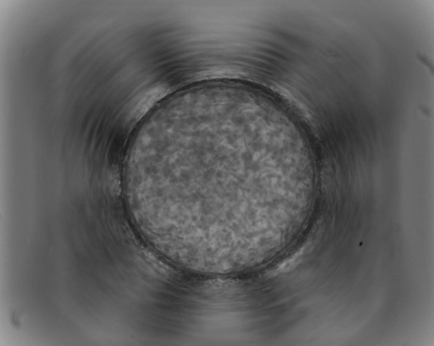X0000091350929200708311513