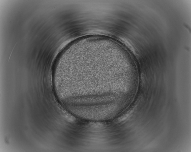 X0000091350931200708311513