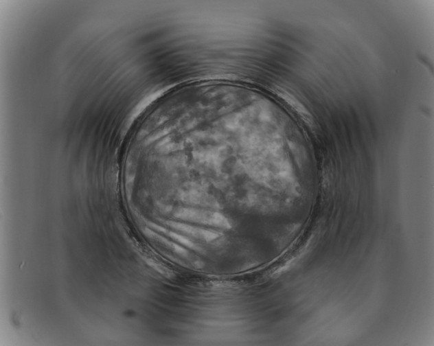 X0000091350933200708311513