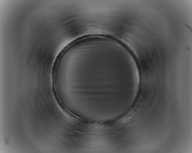 X0000091350935200708311513