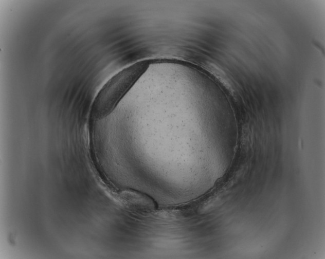 X0000091350936200708311513