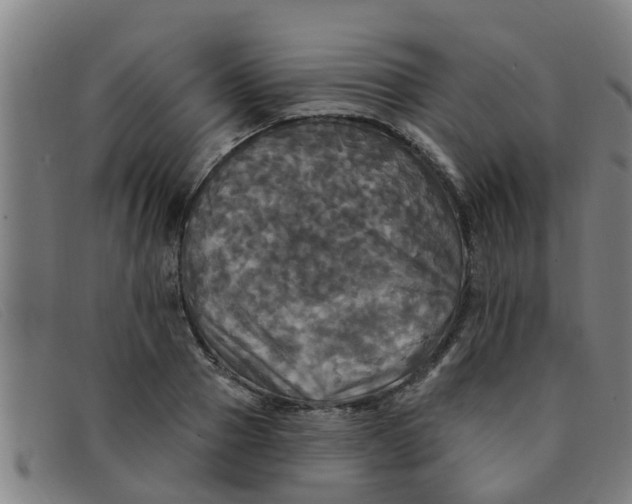 X0000091350937200708311513