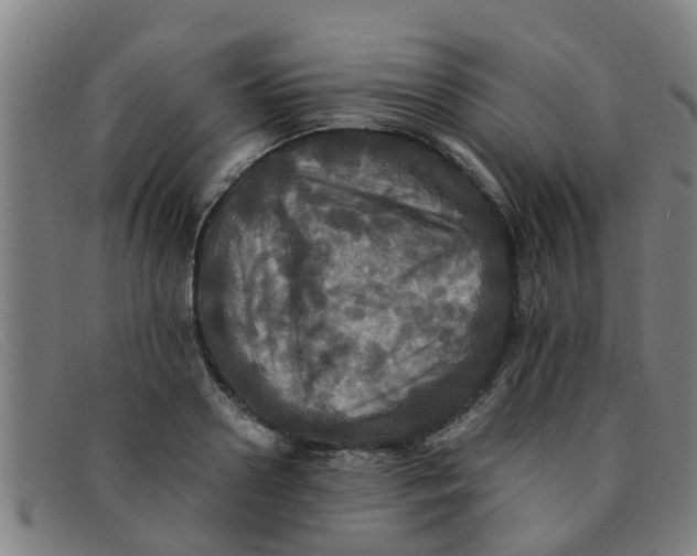 X0000091350938200708311513