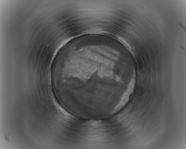 X0000091350939200708311513