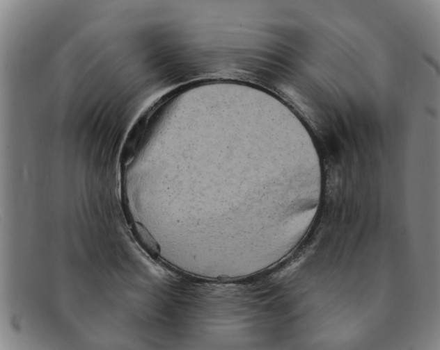 X0000091350940200708311513