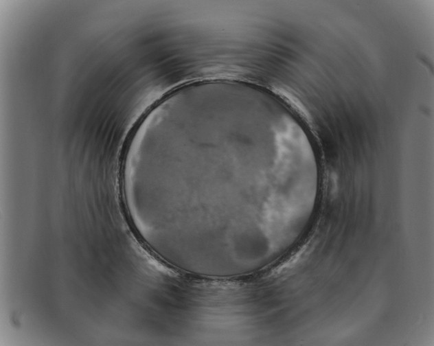 X0000091350941200708311513