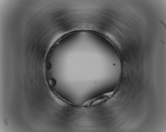 X0000091350942200708311513