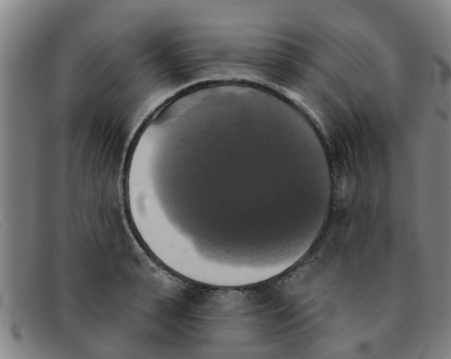 X0000091350943200708311513