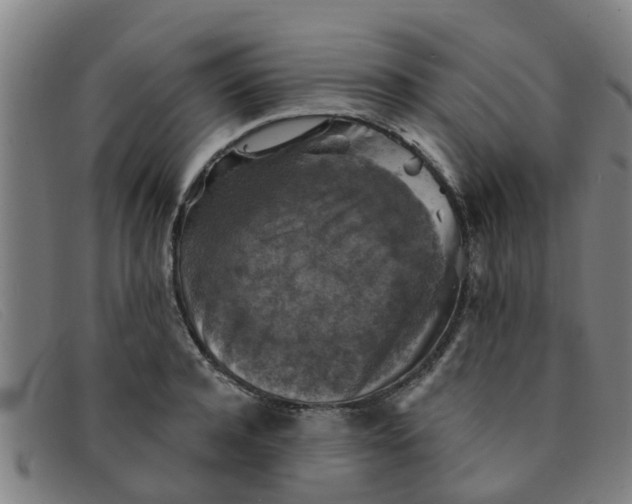 X0000091350944200708311513