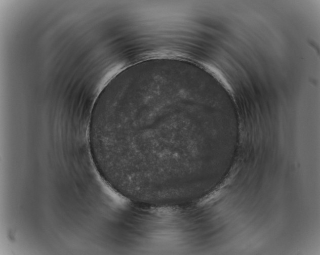 X0000091350946200708311513