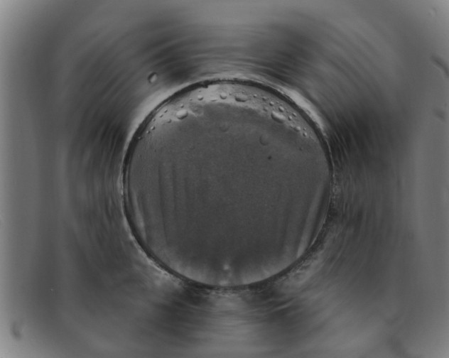 X0000091350951200708311513