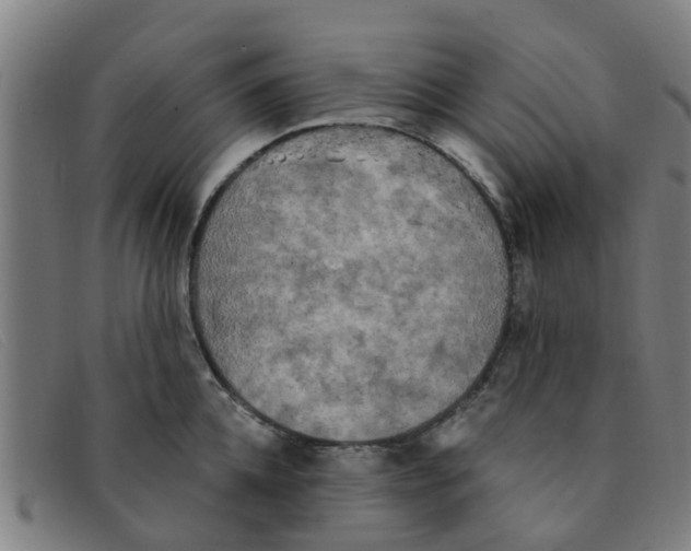 X0000091350952200708311513