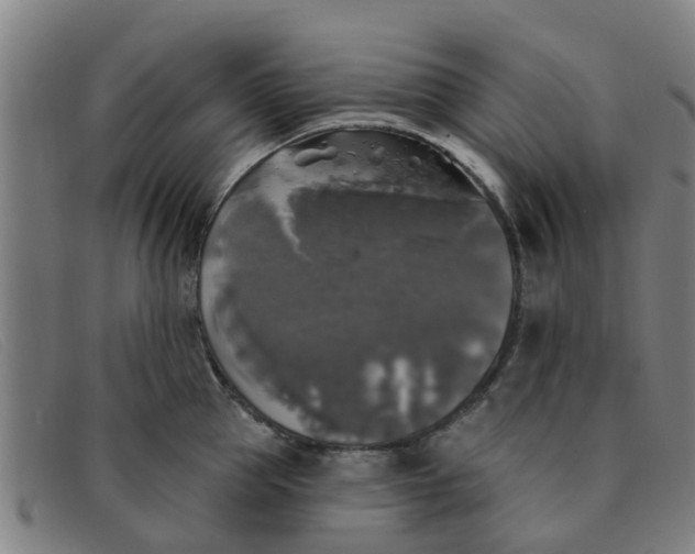 X0000091350953200708311513
