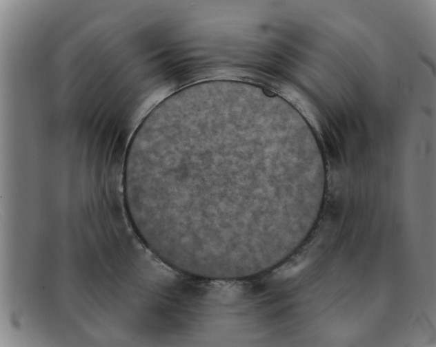 X0000091350954200708311513
