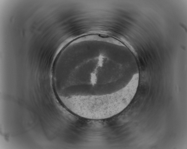 X0000091350955200708311513
