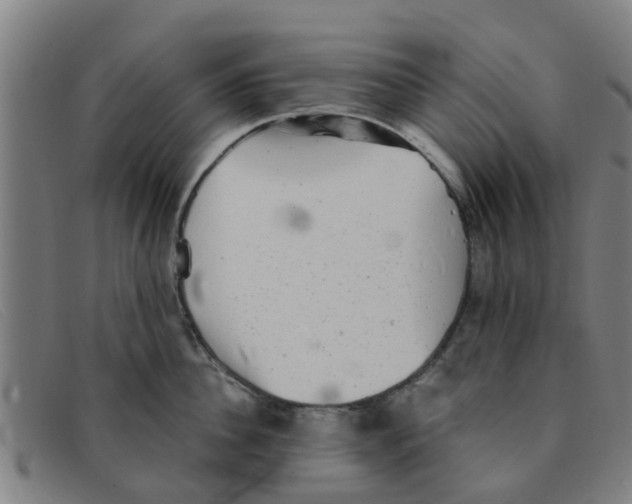 X0000091350956200708311513