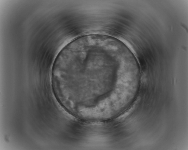 X0000091350957200708311513