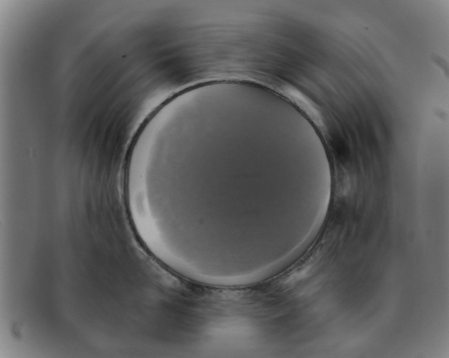 X0000091350958200708311513