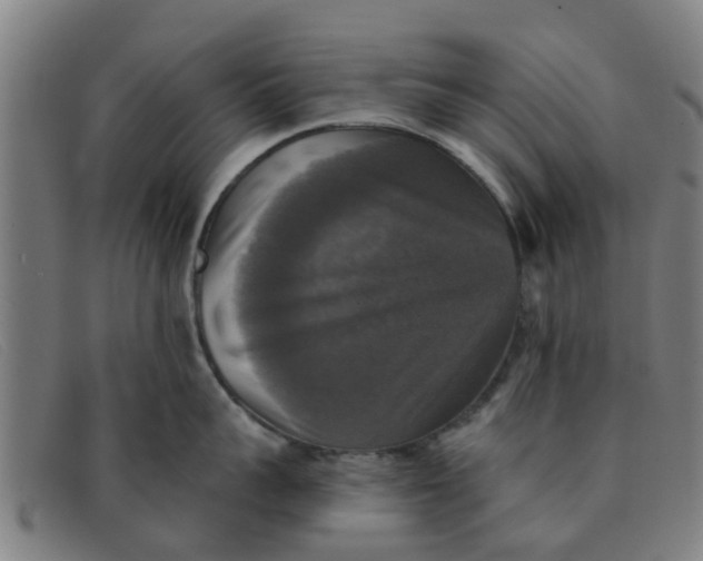 X0000091350959200708311513